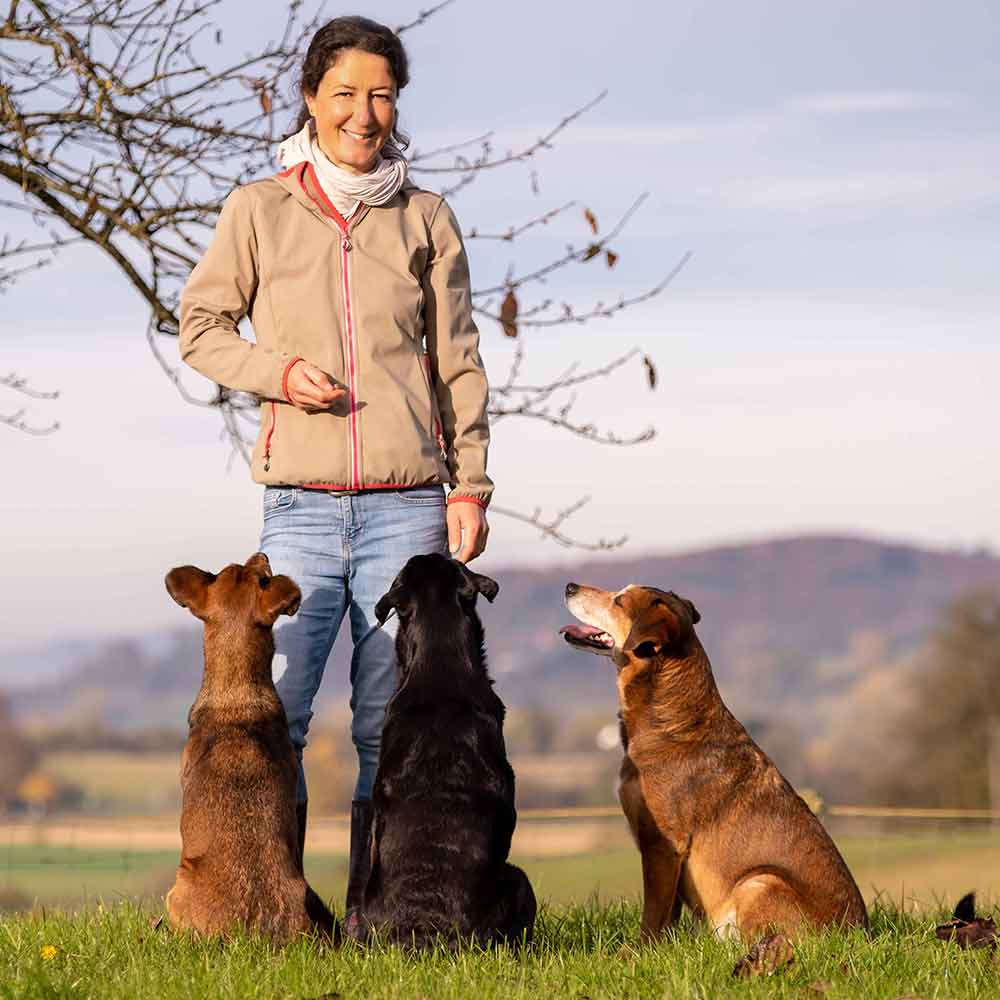 mahn_hundeschule_1